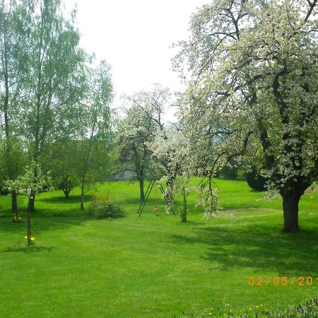 Bed and Breakfast Entre Thur Et Montagne Willer-sur-Thur Exterior foto