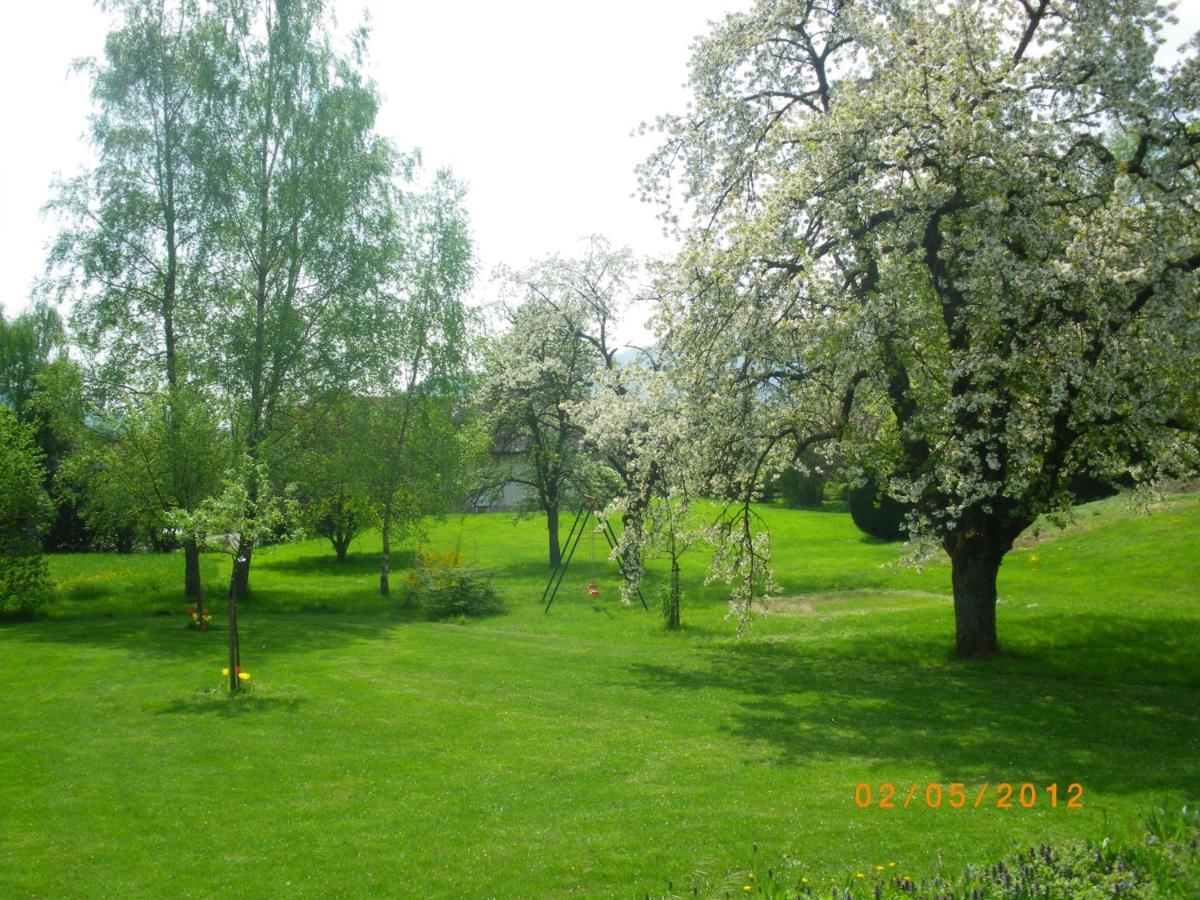Bed and Breakfast Entre Thur Et Montagne Willer-sur-Thur Exterior foto